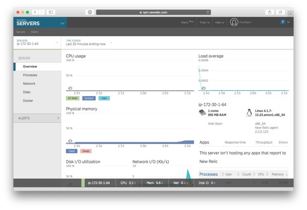 The New Relic Servers overview page
