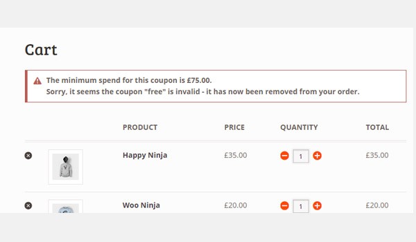 Cart showing invalid coupon message