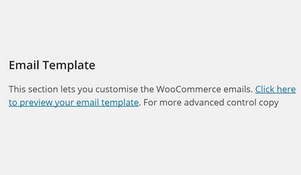 Email Template section