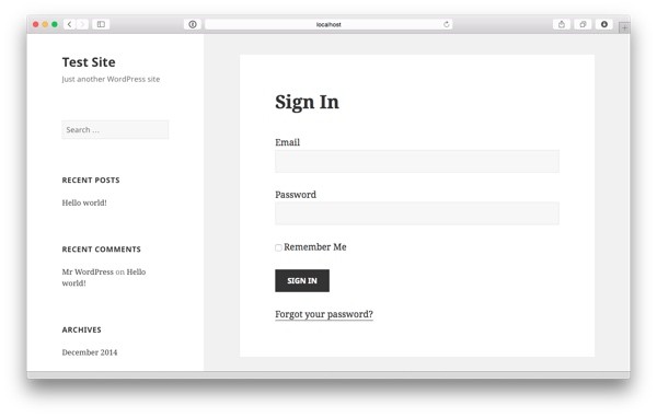 Custom login form