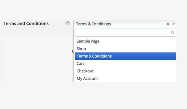 Add Terms Conditions page