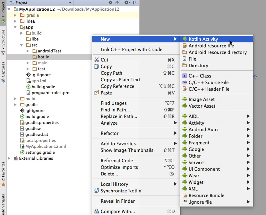 Create a new Kotlin Activity by selecting your Kotlin directory and clicking New Kotlin Activity