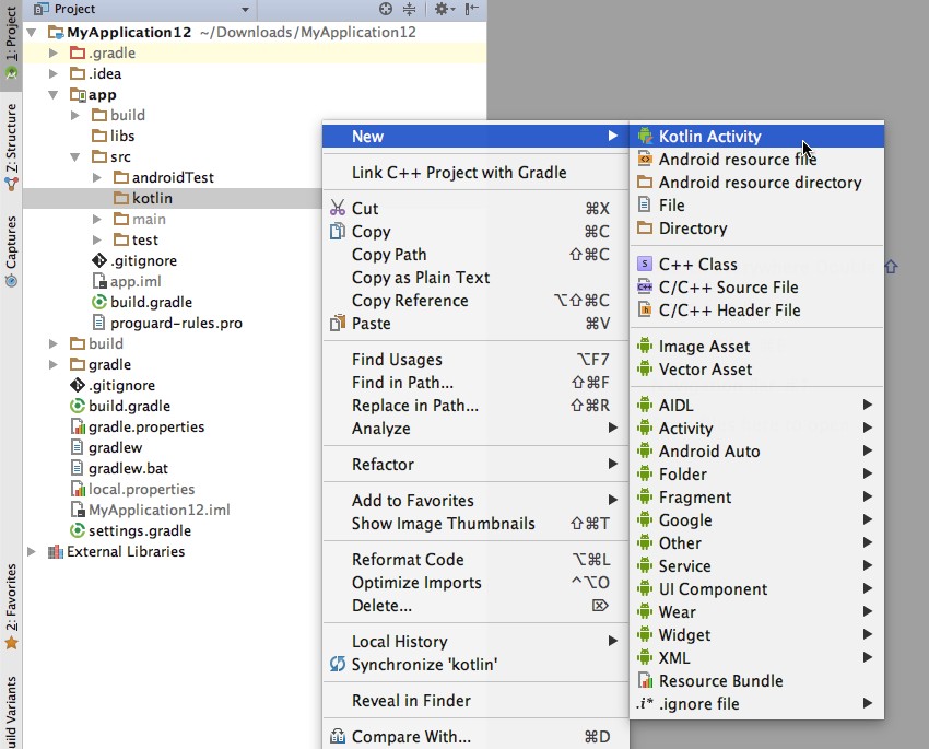 Create a new Kotlin Activity by selecting your Kotlin directory and clicking New  Kotlin Activity