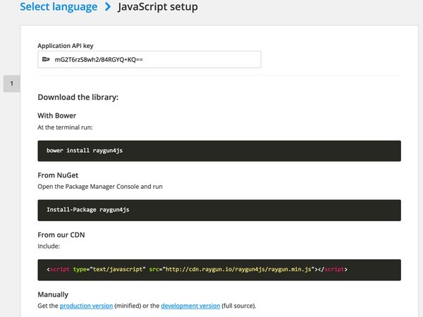 Raygun JavaScript setup screen