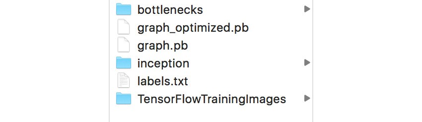 Contents of TensorFlow directory after generating machine learning data