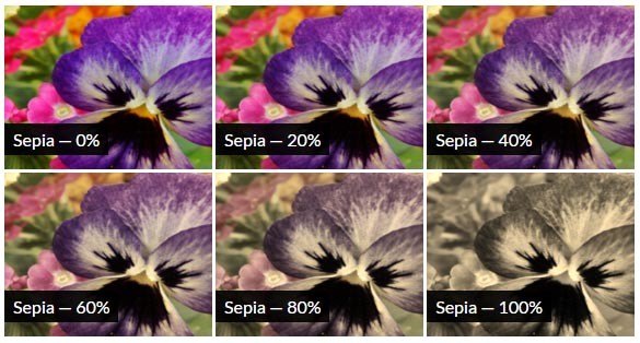 CSS Sepia Filter Effect