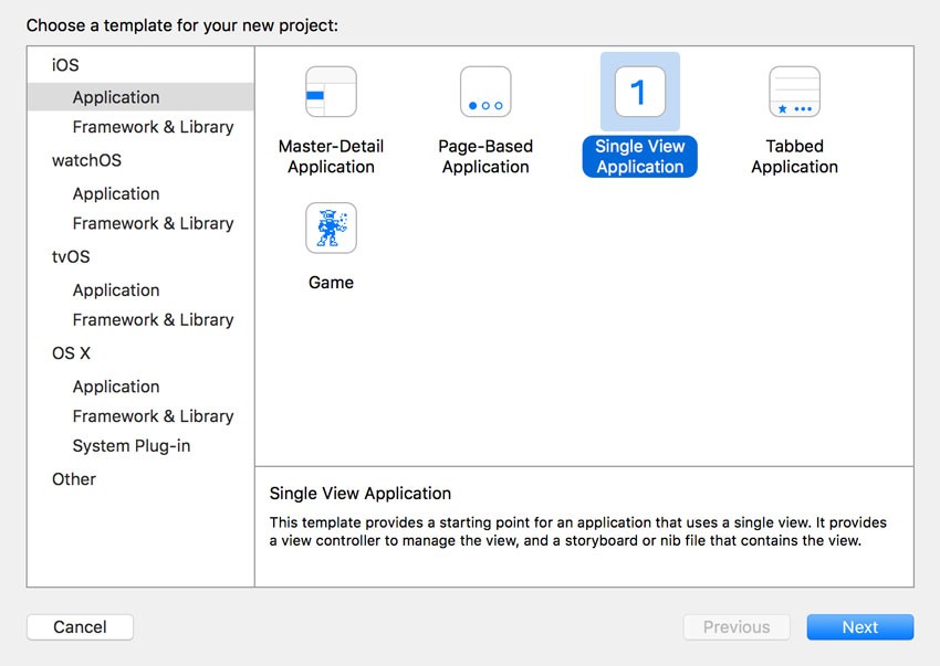 Project Setup