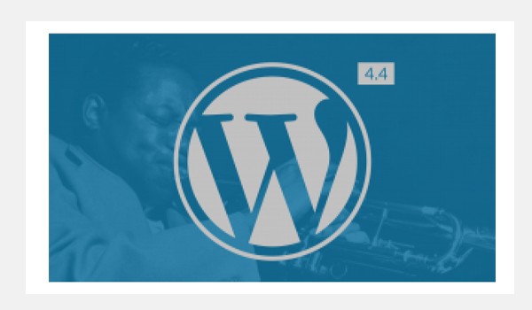 Resize image in Timber