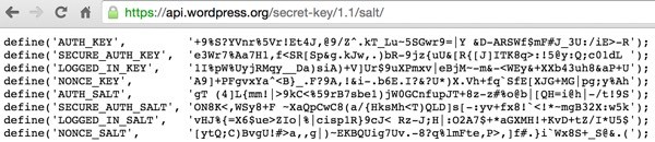 WordPress Authentication Key and Salt Generator