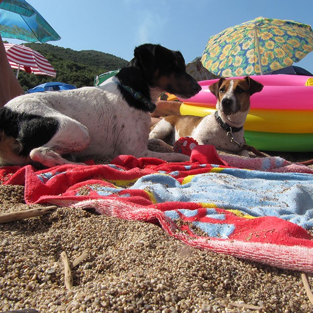 terry and linda on the beach